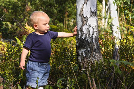 enfant dans une forêt de bouleaux scandinaves